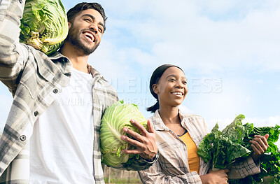 Buy stock photo Agriculture, farming and couple with green vegetables at eco friendly harvest time. Startup farm, sustainability and growth in small business for working man and woman agro farmer with happy smile.