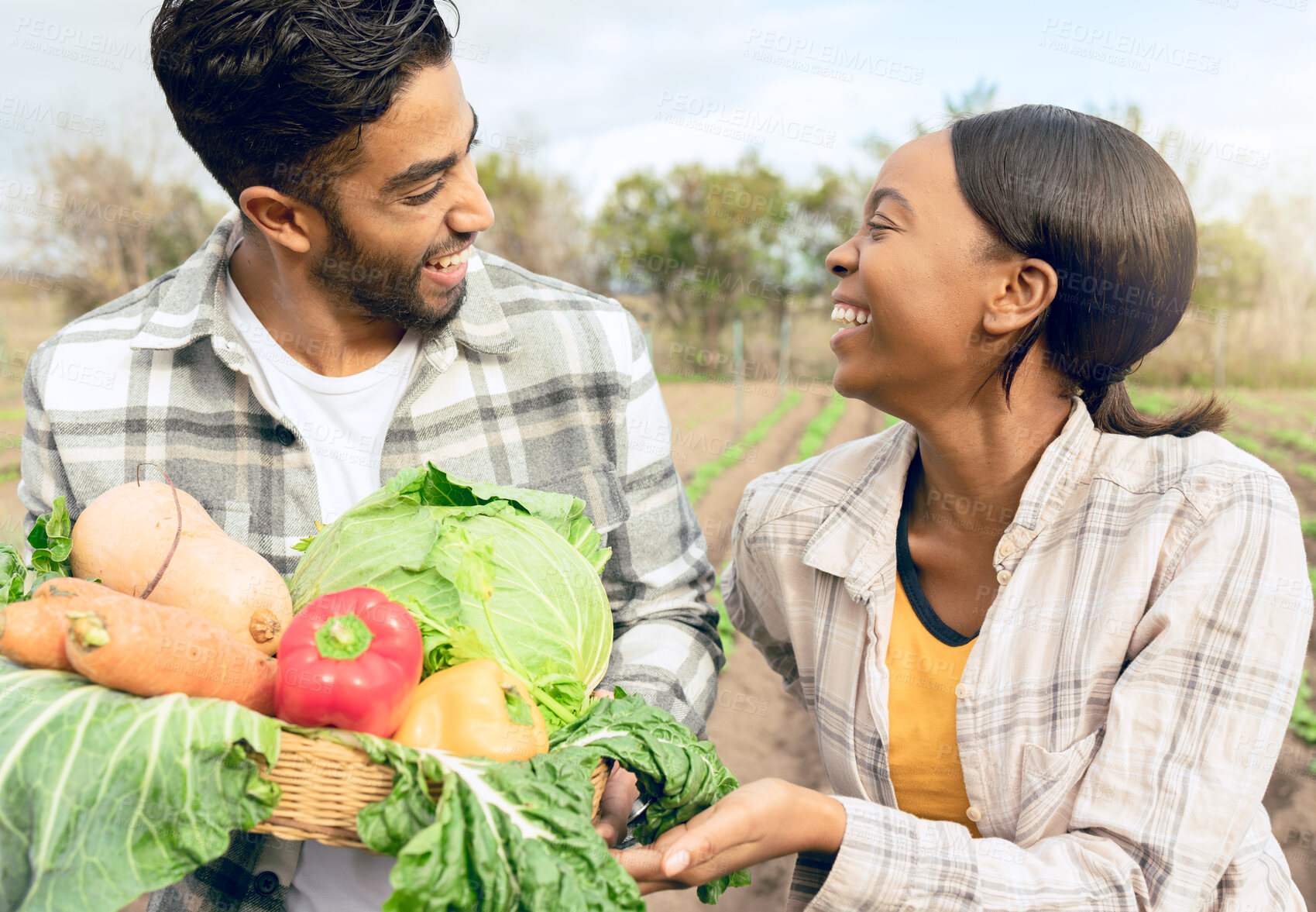 Buy stock photo Farming, agriculture and farmers with vegetables in field happy from success in plant growth. Sustainable, teamwork and Indian man and black woman with fresh, organic and healthy produce from harvest