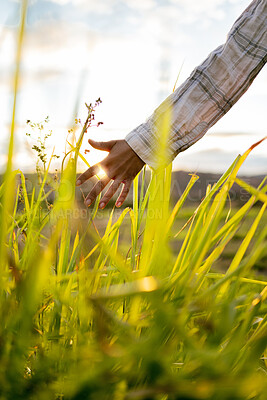 Buy stock photo Freedom, flare and hand of a person on a field for spring, plants and ecology with sun in the countryside. Agriculture, growth and man free in nature, walking and adventure with sunshine in summer