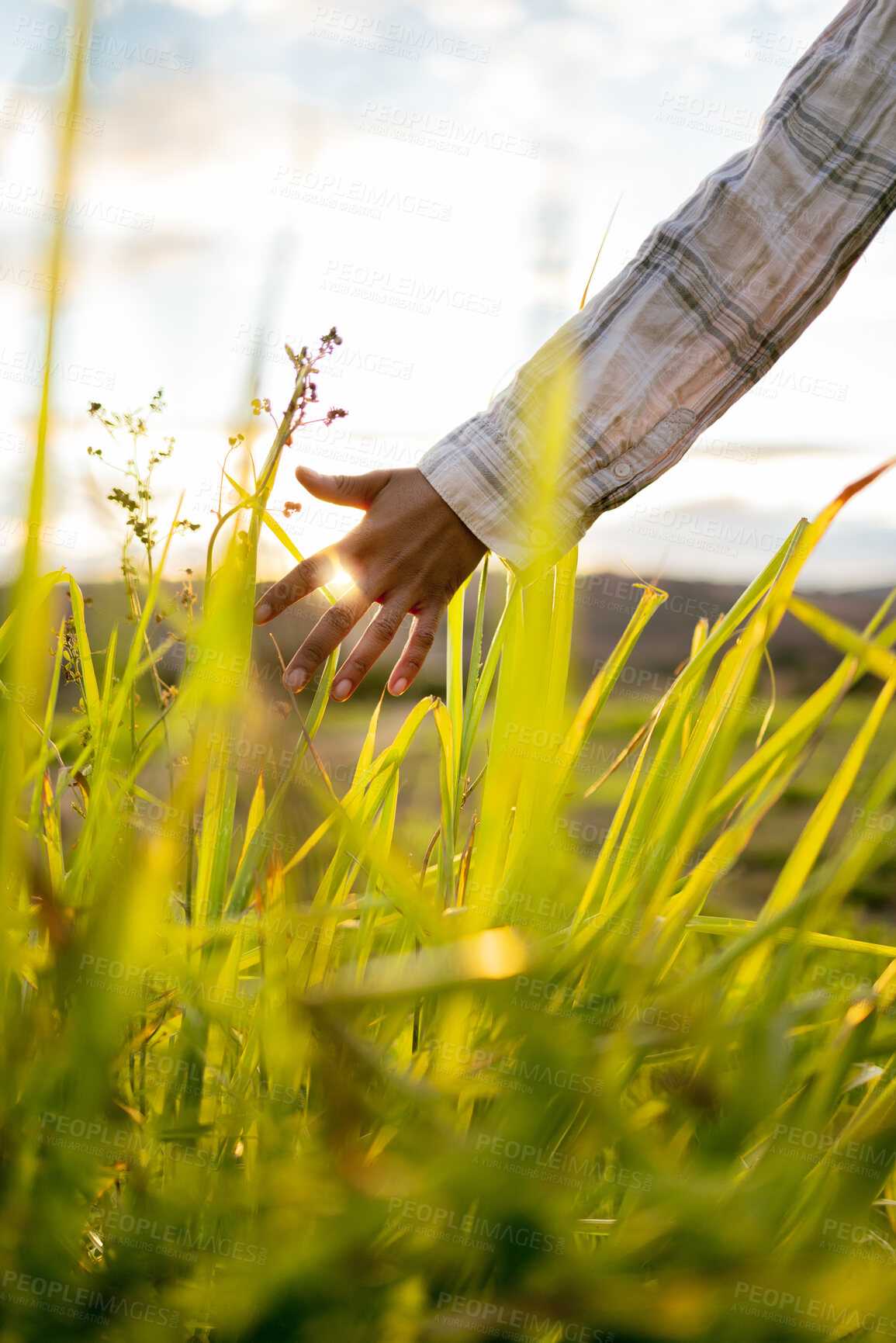 Buy stock photo Freedom, flare and hand of a person on a field for spring, plants and ecology with sun in the countryside. Agriculture, growth and man free in nature, walking and adventure with sunshine in summer