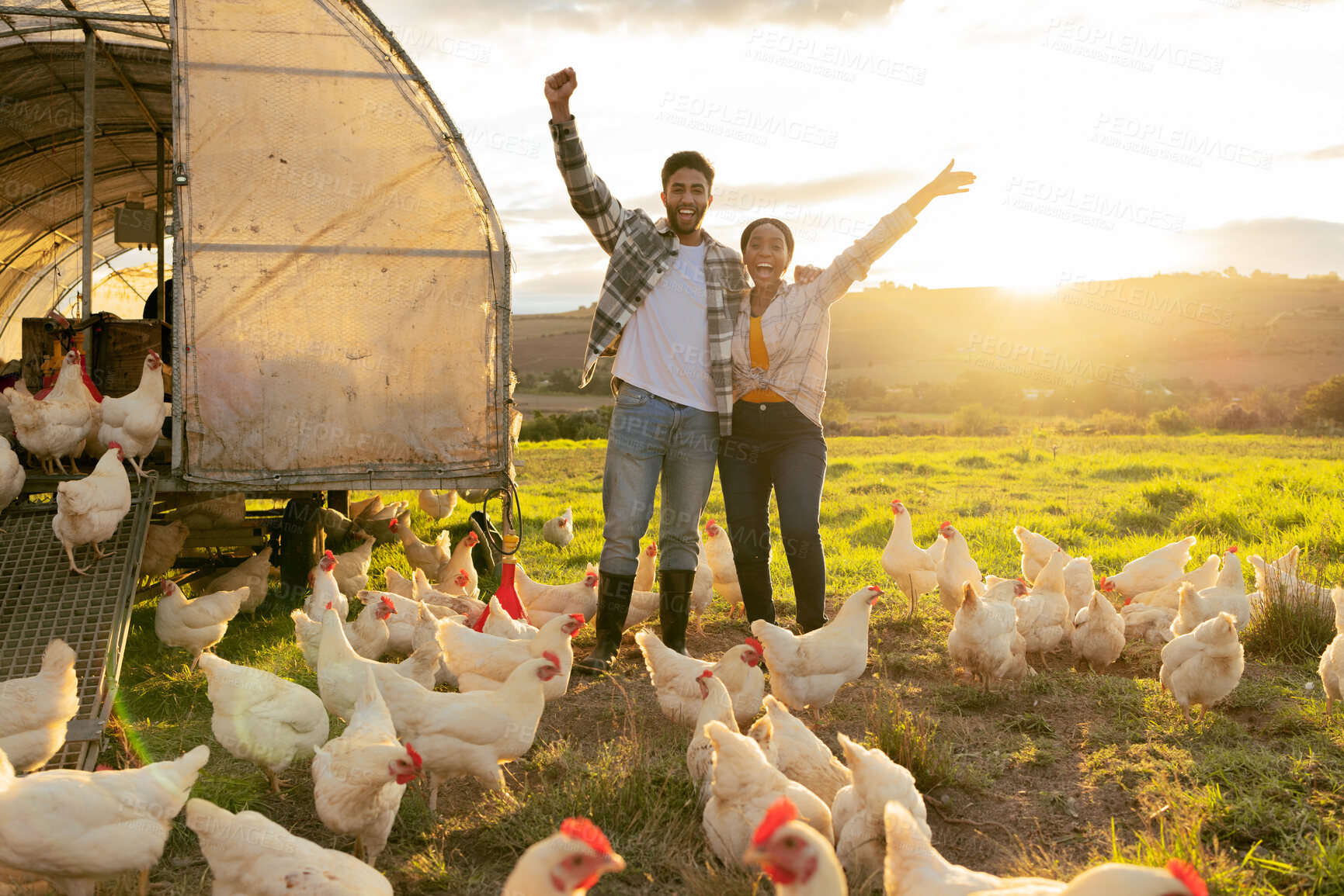 Buy stock photo Excited, success and couple on a farm with chicken for sustainability, agriculture and small business in nature. Happy, eco friendly and portrait of a man and woman with animals in countryside