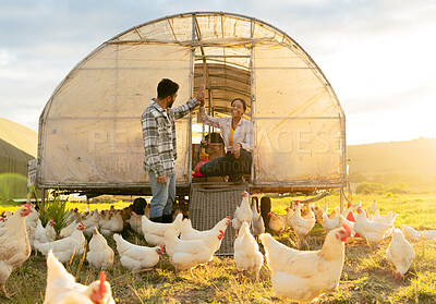 Buy stock photo Chicken farmer, countryside farm and sustainable agriculture livestock farming for healthy egg harvest sustainability. Modern couple in nature, animal planning and organic agricultural poultry health