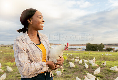 Buy stock photo Black woman, chicken farm and happy with small business, growth and agriculture development outdoor in nature. Farmer, animal and sustainability farming with smile and working on countryside poultry 