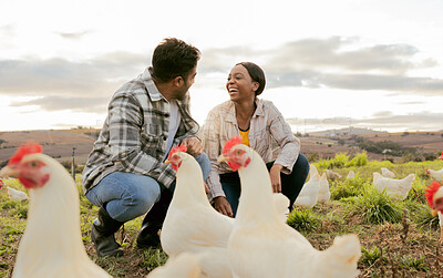 Buy stock photo Farming, poultry and people with chicken outdoors doing check and feeding livestock. Agriculture, sustainability and man and woman working on poultry farm for healthy, organic and natural animals