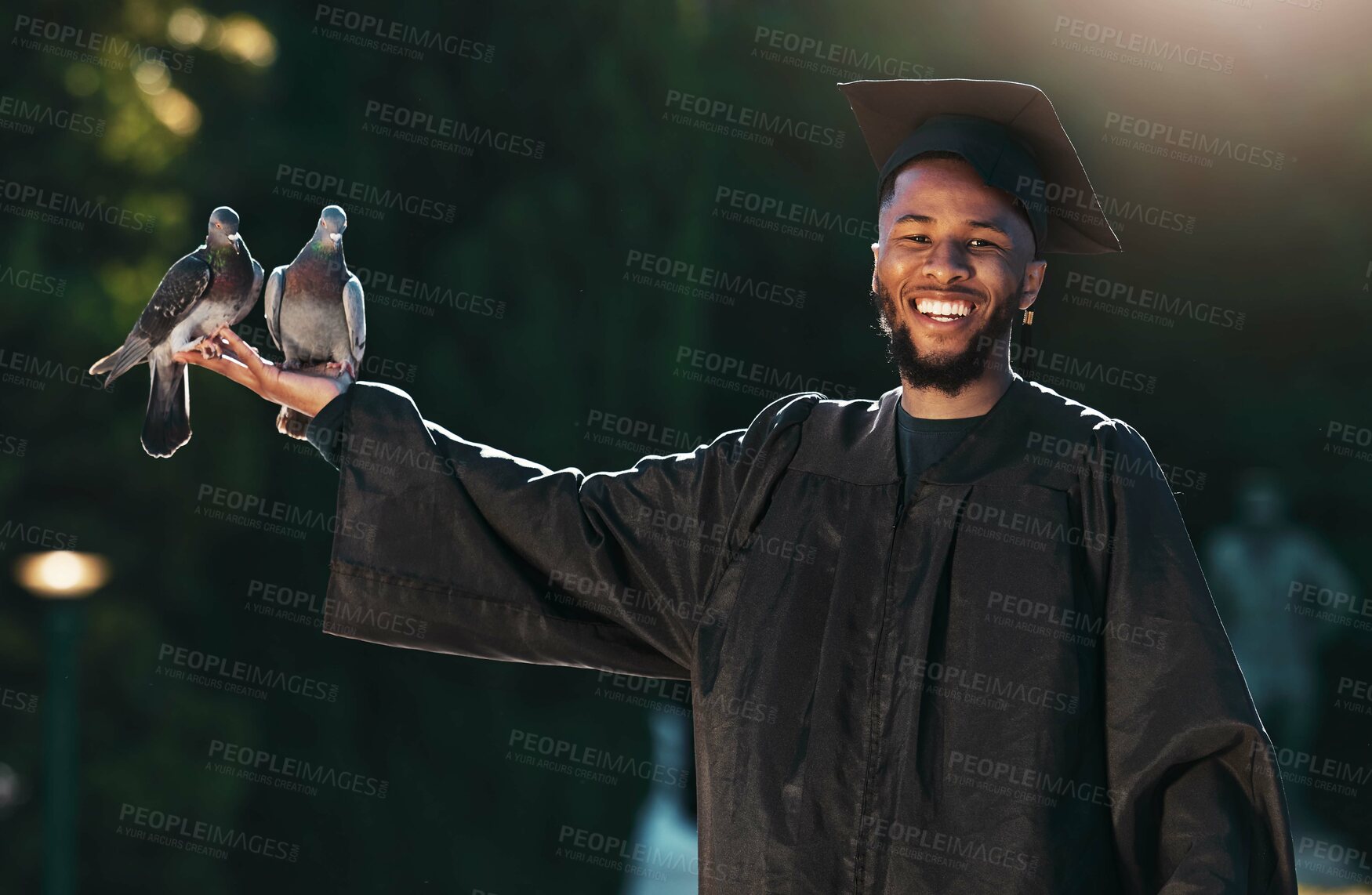 Buy stock photo Student portrait, graduate and pigeon with a smile, hat and cloak for graduation, celebration and achievement outdoor in park. University, college or school man with happiness for education success