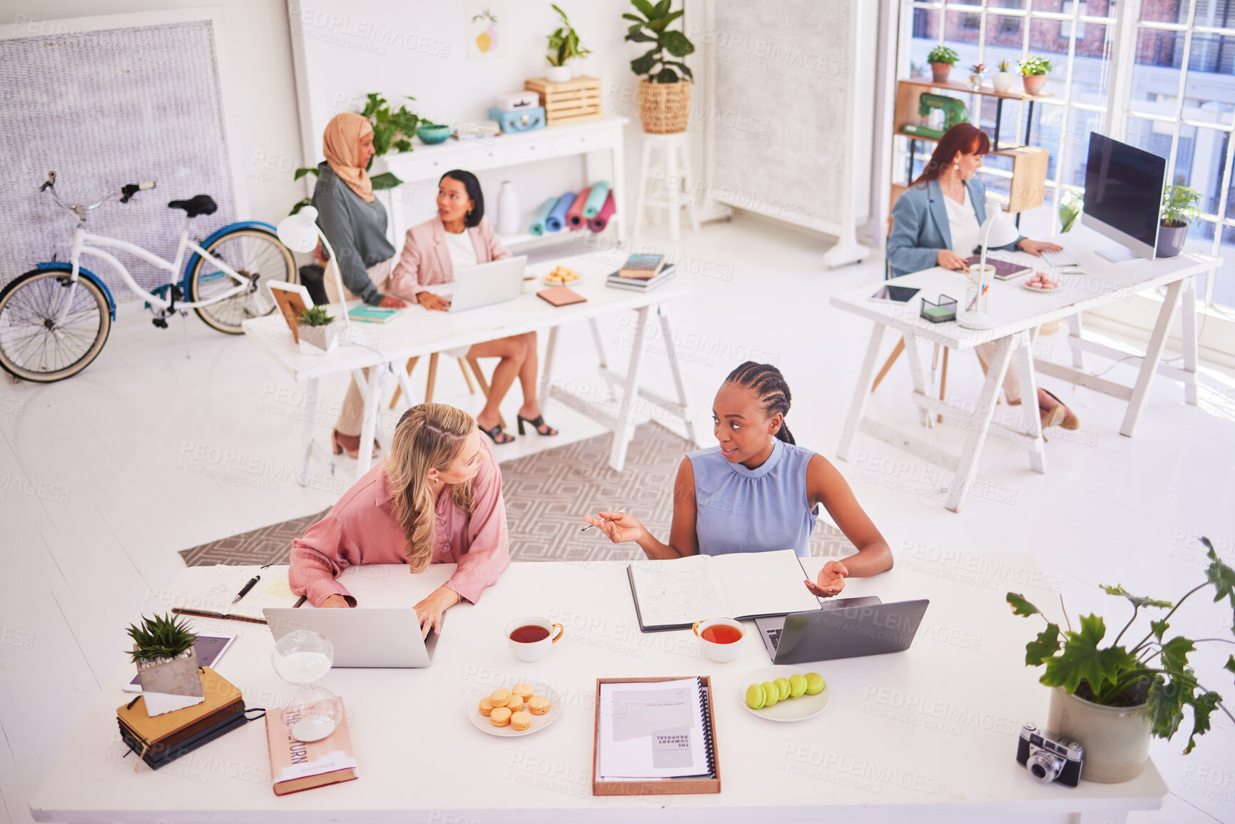 Buy stock photo Business, inclusive and women partnership in office, busy and collaboration on idea, goal and mission. Diversity, business people and teamwork on design project, marketing and sharing strategy