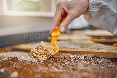 Buy stock photo Hands, honey frame and harvest tools, bee farming and beeswax, factory and production. Honey industry, worker and beekeeper harvest honeycomb, natural product process and manufacturing sustainability