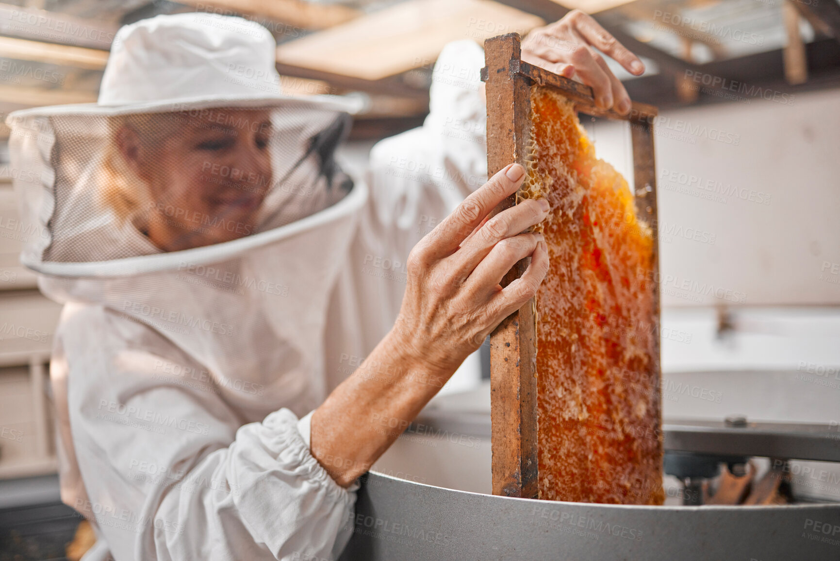 Buy stock photo Woman beekeeper, honeycomb and beekeeping, sustainability in nature at bee farm warehouse. Farming, bees and agriculture, eco friendly honey manufacturing industry and safety for lady beeswax farmer.