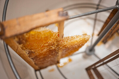 Buy stock photo Honeycomb, natural product and honey production, harvest and manufacturing of sustainable organic produce with wood frame. Beekeeping industry, farm fresh and bee farming closeup and food extraction.