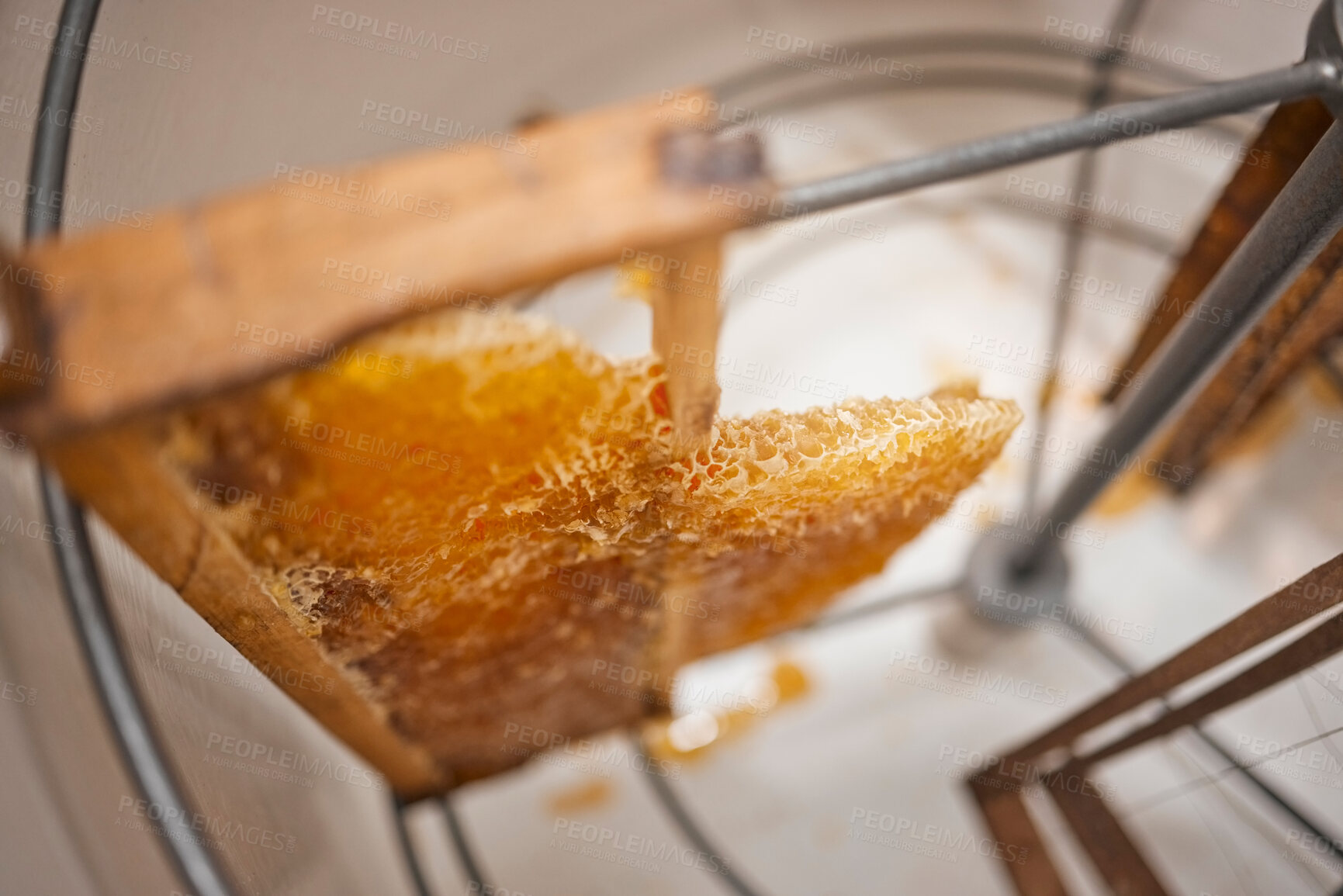 Buy stock photo Honeycomb, natural product and honey production, harvest and manufacturing of sustainable organic produce with wood frame. Beekeeping industry, farm fresh and bee farming closeup and food extraction.