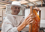 Beekeeper, honey and manufacturing with frame, honeycomb and suit for safety in workshop or farm. Portrait of agriculture employee or animal farmer happy, working and  farming natural resource  