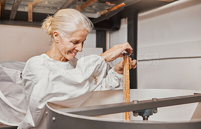 Buy stock photo Honeycomb, honey and bee farmer, production and manufacturing natural product in factory or workshop. Woman entrepreneur, harvesting and happy smile while working in agriculture industry or process