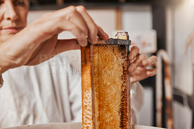 Buy stock photo Honeycomb, beekeeping and hands of woman on sustainable farm for honey, beeswax and food in agriculture industry. Bee farmer in workshop for harvesting frame, production and manufacturing process