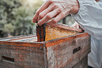 Beekeeper, honey frame and honeycomb box, bee farm and manufacturing natural product outdoor in nature. Agriculture worker, farmer and farming production, raw and bees wax, working and sustainability