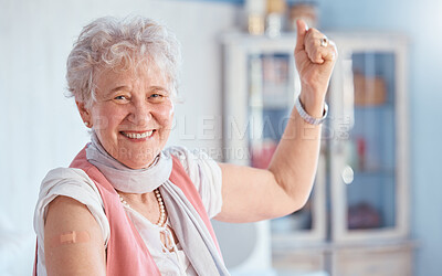 Buy stock photo Covid, vaccine and bandaid with portrait of old woman for healthcare, medical and wellness. First aid, insurance and safety with senior patient and plaster for virus, protection and medicine 