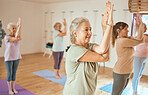 Pilates, wellness and group of senior women doing a mind, body and spiritual exercise in studio. Health, retirement and elderly friends doing yoga workout in zen class for peace, balance and fitness.