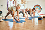 Senior yoga, pilates and fitness gym class of elderly women friends training for health and wellness. Workout in a studio for mindfulness and zen sports exercise for the body and mind to meditate