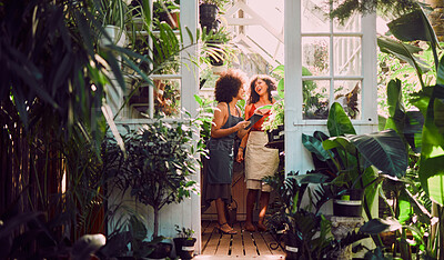 Buy stock photo Black women, tablet or laughing in plant shop, garden center or greenhouse in growth management, stock check or nature analysis. Smile, happy or florist teamwork on technology in small business store