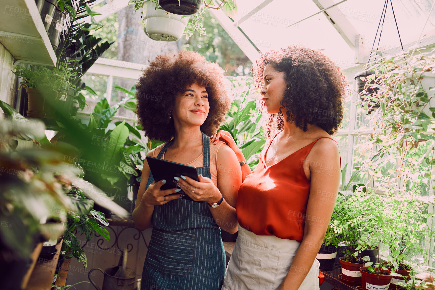 Buy stock photo Greenhouse, tablet and plants of black woman with teamwork, collaboration and progress communication for green shop inventory. Agriculture, garden and small business owner people with management tech