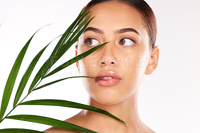 Buy stock photo Leaf, beauty and woman with heatlhy skincare, natural cosmetics and wellness, glow and sustainability on studio background. Beautiful model face, green leaves from plants and eco friendly dermatology