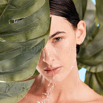 Buy stock photo Skincare portrait and shower face with leaf for natural cosmetic washing treatment zoom. Beauty, wellness and hygiene of girl model with monstera plant and hydrated skin cleaning routine.