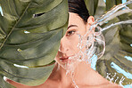 Water splash, leaf and skincare of a woman portrait of wellness, organic and luxury facial. Plant beauty, natural cosmetic and green dermatology of person with sustainable cosmetics and treatment