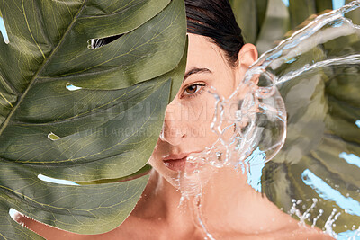 Buy stock photo Water splash, leaf and skincare of a woman portrait of wellness, organic and luxury facial. Plant beauty, natural cosmetic and green dermatology of person with sustainable cosmetics and treatment