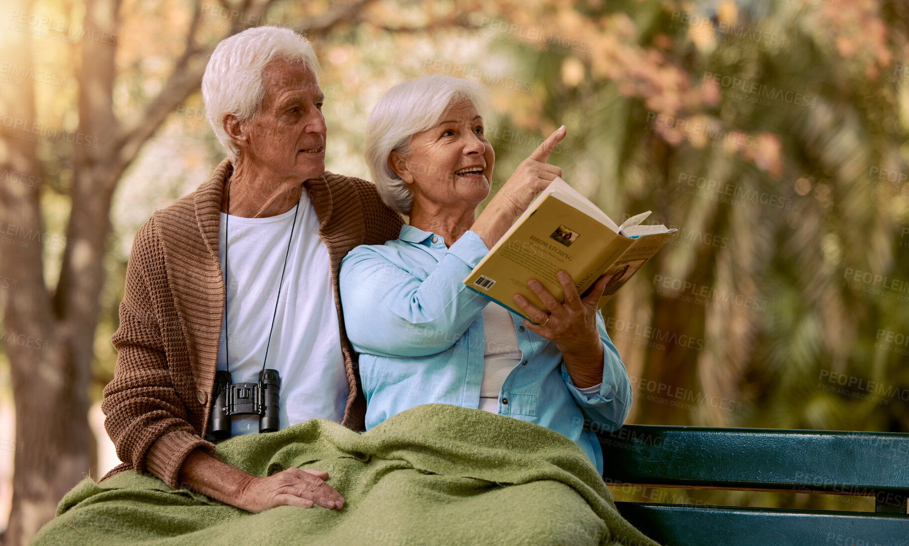 Buy stock photo Book, search or old couple bird watching in nature for calm, relaxing or peaceful quality bonding time in New York. Love, elderly or senior woman pointing in a park with a happy old man in retirement