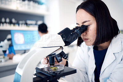 Buy stock photo Laboratory, microscope and medical science analysis, research innovation and biotechnology scientist. Chemistry, healthcare engineer working and microbiology testing or forensic experiment in lab