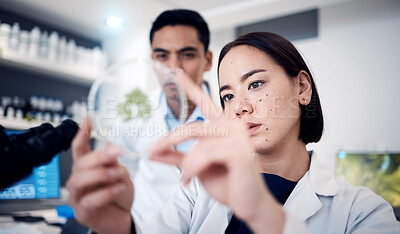 Buy stock photo Science, doctors and petri dish for plant research in laboratory. Botanist, plants and teamwork of scientists, man and woman testing or analyzing leaf samples to optimize growth, food farming or gmo.
