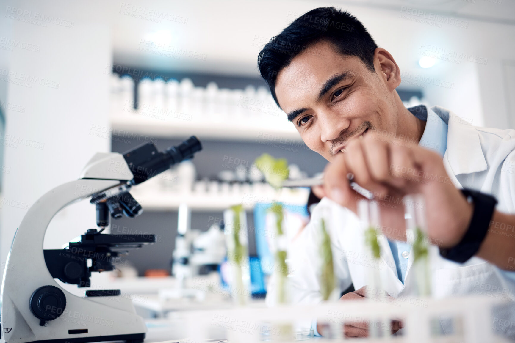 Buy stock photo Scientist, microscope and plants pharmaceutical research, ecology growth testing and asian man. Biotechnology expert, green energy innovation and leaf chemistry or science experiment in laboratory