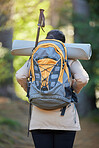 Hiking, travel and back of woman in nature, forest or jungle outdoors on holiday, vacation or trip. Freedom, hiker or female with backpack exploring, adventure or trekking alone in woods for exercise
