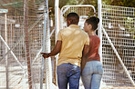 Black couple, animal shelter or zoo walking together and talking about choice, charity and volunteer work during travel in South Africa. Man and woman together at cage or pound for animal safety 