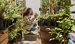 Black woman, garden and plants with nature and green, environment with sustainability, gardening and flowers. Natural, spring and ecology with gardener, calm and peace with flower plant maintenance.