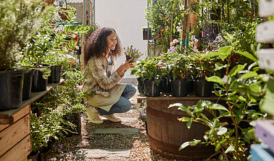 Buy stock photo Black woman, garden and plants with nature and green, environment with sustainability, gardening and flowers. Natural, spring and ecology with gardener, calm and peace with flower plant maintenance.