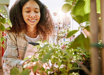 Buy stock photo Garden, plants and woman at a nursery for inspection, gardening entrepreneurship and happy in nature. Small business, flowers and woman or florist shopping at an outdoor store for a plant or flower