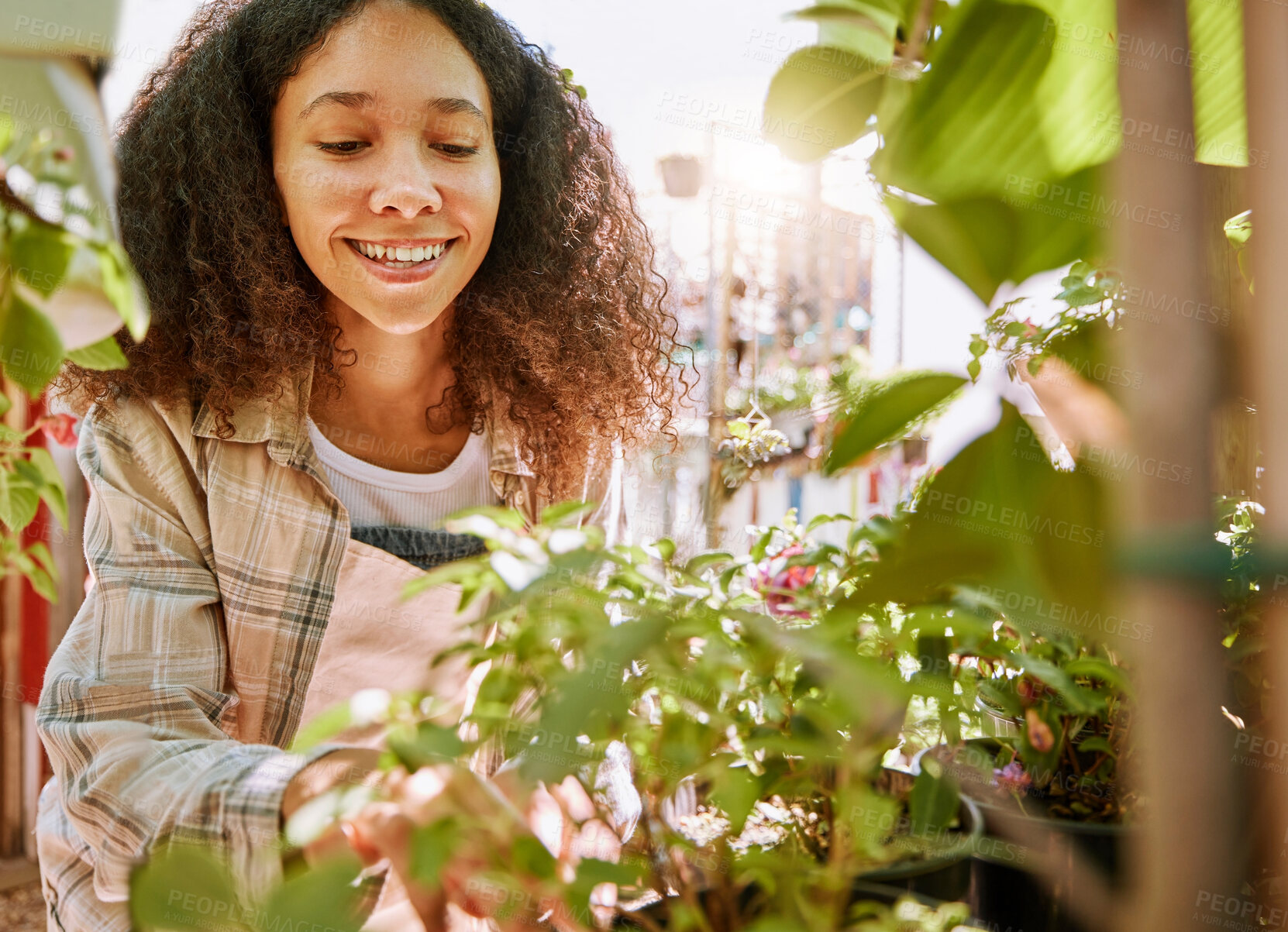 Buy stock photo Garden, plants and woman at a nursery for inspection, gardening entrepreneurship and happy in nature. Small business, flowers and woman or florist shopping at an outdoor store for a plant or flower