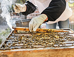 Hands, smoke and beekeeping with a farmer woman at work in the countryside for agriculture or sustainability. Bees, honey and farm with a female beekeeper smoking a hive for organic product extract