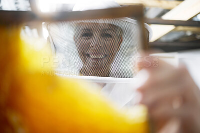 Buy stock photo Woman beekeeper, portrait and bee hive for honey production, eco friendly farming and sustainability. Happy senior face, beekeeping and frame to process sweet honeycomb, manufacturing and bees growth