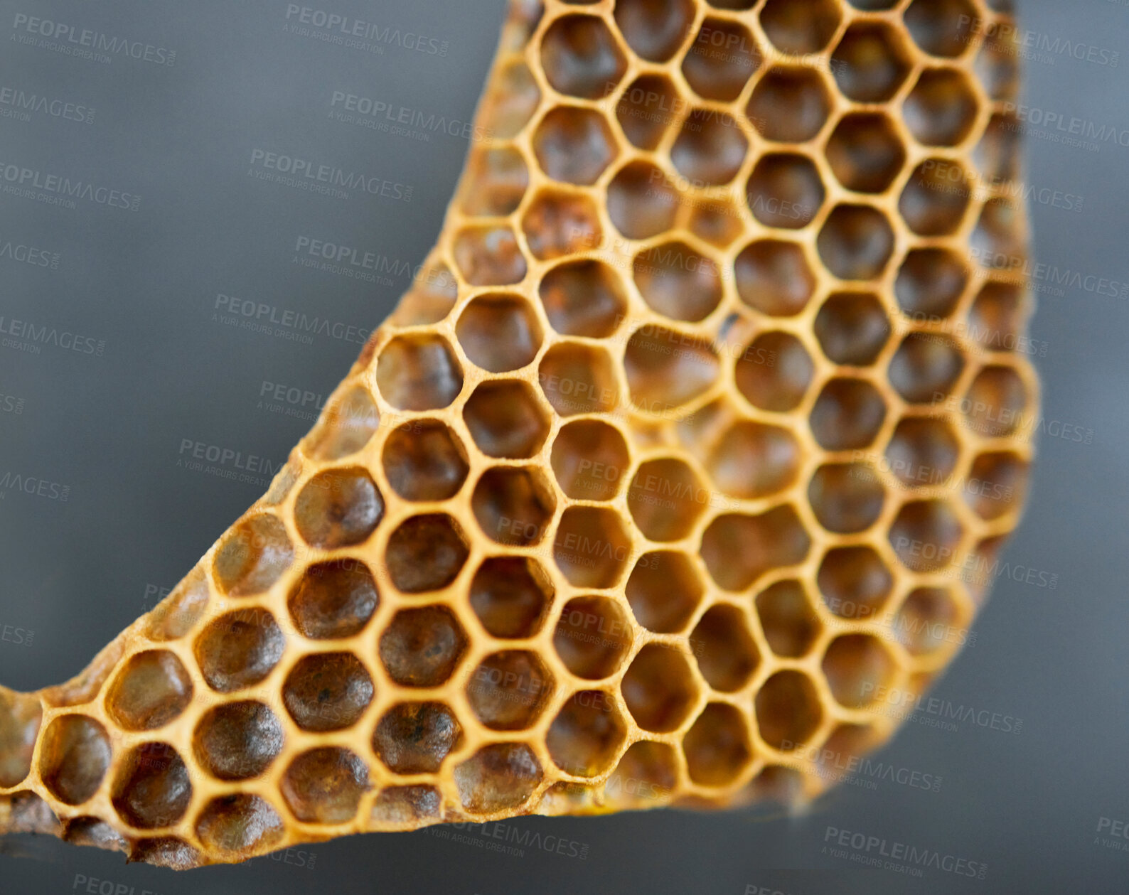 Buy stock photo Honey, product and agriculture with a honeycomb in studio on a gray background for sustainability or farming. Texture, hexagon and production with natural bee produce inside for extraction or process