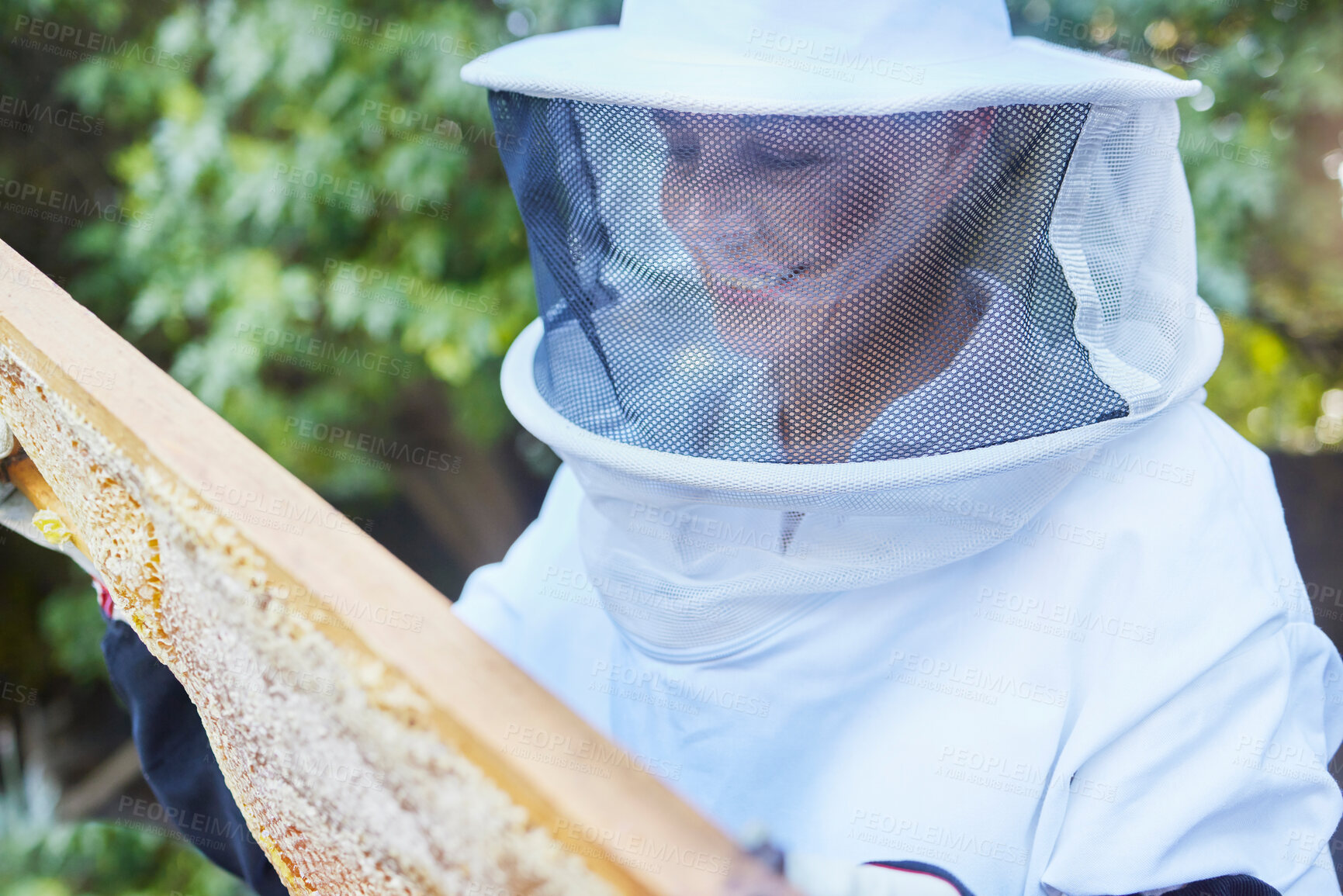 Buy stock photo Woman, beekeeper hat or wooden frame check on honey farming land, sustainability agriculture or healthy food farm. Smile, happy or farmer with beehive insect box for sweet syrup harvest or production