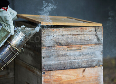 Buy stock photo Beekeeping, smoke and wood box for bee farming with smoker tools for process to calm for maintenance and harvest of honey bees. Hand of beekeeper for manufacturing and production of honeycomb