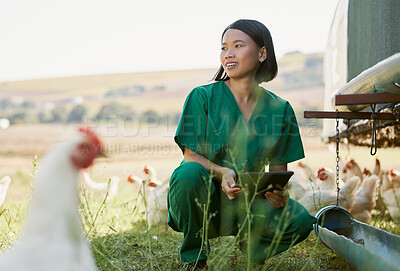 Buy stock photo Vet woman, chicken and tablet in agriculture inspection, outdoor and farm for field analysis, bird and growth. Avian scientist, poultry expert or farming in analytics, health or care in countryside