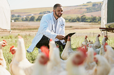 Buy stock photo Man, veterinary or tablet on chicken farm for healthcare wellness, bird flu compliance or growth hormone research. Smile, happy or animals doctor with poultry, 5g digital technology or eggs farming