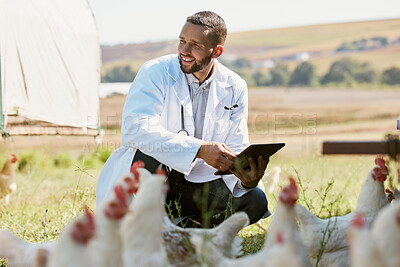 Buy stock photo Man, veterinary or tablet on chicken farm in healthcare wellness check, growth hormone management or bird flu help. Smile, happy or animal doctor with poultry birds, technology for research insurance