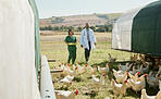 Chicken, farm and vet nurse with doctor for health inspection of eggs. Poultry, agriculture and veterinarian medical team, man and woman getting ready to test egg products for food safety compliance.