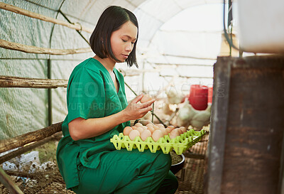 Buy stock photo Farming, agriculture and vet with chicken eggs for inspection, quality control and health on poultry farm. Ecology, nature and Asian woman do protein check, food safety and compliance in countryside