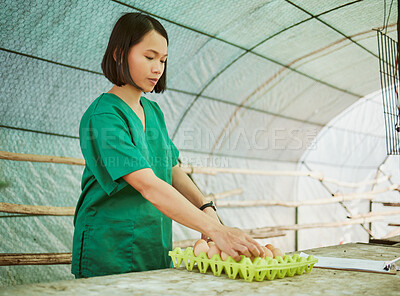Buy stock photo Farm, eggs and agriculture with a farmer asian woman working in a greenhouse for sustainability. Food, produce and free range with a female farming employee at work in the agricultural industry