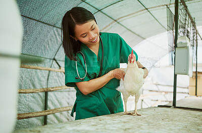 Buy stock photo Veterinary, woman and chicken healthcare on farm for medical assessment, industry growth and analysis in hen house. Happy asian animal doctor, poultry worker and wellness check for bird flu in barn 