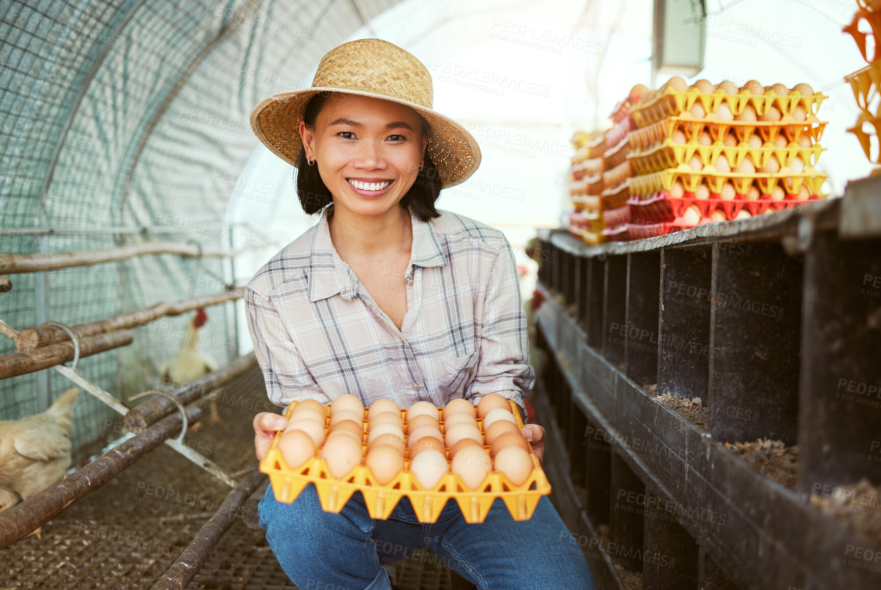 Buy stock photo Chicken eggs, woman and portrait of farmer with tray of fresh, organic and healthy protein of animal coop in Japan. Poultry farming, sustainable production and food economy in eco friendly hen house 